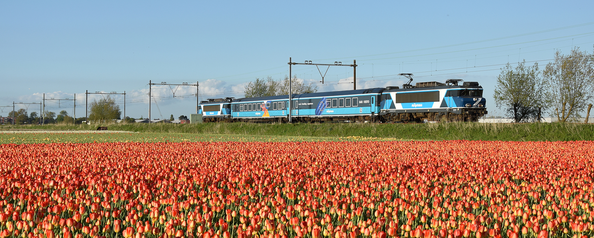 /amsterdam/classificaties/atracciones/dinner-train-sp/HEADER dinner-train-1527248598.jpg La cena en el tren - Dinner Train